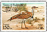 Macqueen's Bustard Chlamydotis macqueenii