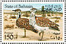 Macqueen's Bustard Chlamydotis macqueenii  1990 Bustard Sheet