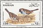 House Sparrow Passer domesticus  1991 Birds Sheet