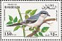 Iberian Grey Shrike Lanius meridionalis  1991 Birds Sheet