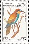 European Bee-eater Merops apiaster