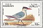 Caspian Tern Hydroprogne caspia  1993 Water birds Sheet