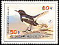 Oriental Magpie-Robin Copsychus saularis  1983 Birds of Bangladesh 