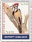 Black-rumped Flameback Dinopium benghalense  1983 Birds of Bangladesh Sheet