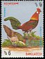 Red Junglefowl Gallus gallus  1994 Birds p 13¾x14½