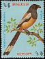 Rufous Treepie Dendrocitta vagabunda  1994 Birds p 13¾x14½