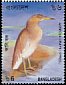 Indian Pond Heron Ardeola grayii  2000 Water birds 