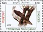 White-bellied Sea Eagle Haliaeetus leucogaster  2011 Birds of the Sundarbans Sheet
