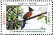 Chestnut-winged Cuckoo Clamator coromandus  2013 Migratory birds Sheet