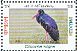 Black Stork Ciconia nigra  2013 Migratory birds Sheet