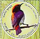 Scarlet-backed Flowerpecker Dicaeum cruentatum  2016 Birds Sheet
