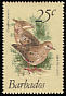 Common Ground Dove Columbina passerina  1979 Birds 