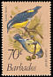 Bananaquit Coereba flaveola  1979 Birds 
