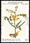 Mangrove Warbler Setophaga petechia  1985 Audubon 