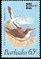 Audubon's Shearwater Puffinus lherminieri  1987 Capex 87 