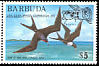 Magnificent Frigatebird Fregata magnificens  1975 Overprint USA-USSR SPACE... on 1975.02 