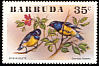 Bananaquit Coereba flaveola  1976 Birds 