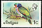 Imperial Amazon Amazona imperialis  1977 Overprint BARBUDA on Antigua 1976.01 