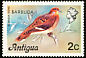 Zenaida Dove Zenaida aurita  1977 Overprint BARBUDA on Antigua 1976.01 