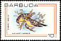 Barbuda Warbler Setophaga subita  1980 Birds 