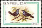 Carib Grackle Quiscalus lugubris  1980 Birds 