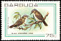 Black-whiskered Vireo Vireo altiloquus  1980 Birds 
