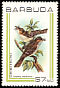 Caribbean Elaenia Elaenia martinica  1980 Birds 