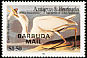 Great Blue Heron Ardea herodias  1985 Overprint BARBUDA MAIL on Antigua & B 1985.01 