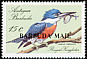 Ringed Kingfisher Megaceryle torquata  1988 Overprint BARBUDA MAIL on Antigua & B 1988.01 