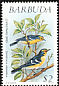 Barbuda Warbler Setophaga subita  1991 Wild birds 
