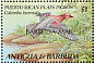 Plain Pigeon Patagioenas inornata  1993 Overprint BARBUDA MAIL on Antigua & B 1993.01 