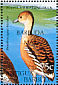 Fulvous Whistling Duck Dendrocygna bicolor