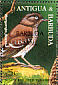 Scaly-breasted Thrasher Allenia fusca  1997 Overprint BARBUDA MAIL on Antigua & B 1995.04 Sheet