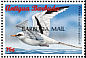 White-tailed Tropicbird Phaethon lepturus  1998 Overprint BARBUDA MAIL on Antigua & B 1996.02 Strip