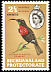 Scarlet-chested Sunbird Chalcomitra senegalensis  1961 Definitives 
