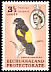 Yellow Bishop Euplectes capensis  1961 Definitives 