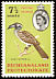 African Grey Hornbill Lophoceros nasutus  1961 Definitives 