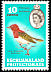 Red-headed Weaver Anaplectes rubriceps  1961 Definitives 