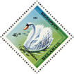 Mute Swan Cygnus olor  1994 Birds in the Red Book Sheet