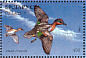 Eurasian Teal Anas crecca  1996 Ducks and wading birds Sheet