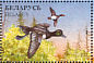 Greater Scaup Aythya marila  1996 Ducks and wading birds Sheet