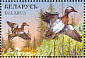 Garganey Spatula querquedula  1996 Ducks and wading birds Sheet