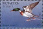Red-breasted Merganser Mergus serrator  1996 Ducks and wading birds Sheet