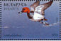 Common Pochard Aythya ferina  1996 Ducks and wading birds Sheet