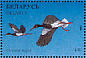 Black Stork Ciconia nigra  1996 Ducks and wading birds Sheet