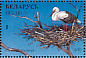 White Stork Ciconia ciconia  1996 Ducks and wading birds Sheet