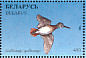 Common Snipe Gallinago gallinago  1996 Ducks and wading birds Sheet