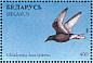 White-winged Tern Chlidonias leucopterus  1996 Ducks and wading birds Sheet