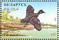 Eurasian Coot Fulica atra  1996 Ducks and wading birds Sheet