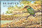 Common Kingfisher Alcedo atthis  1996 Ducks and wading birds Sheet